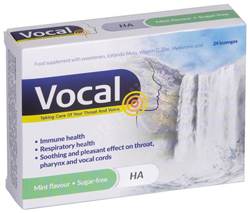 VOCAL MINT IMEMISTBL HÜALUROONHAPPEGA N24